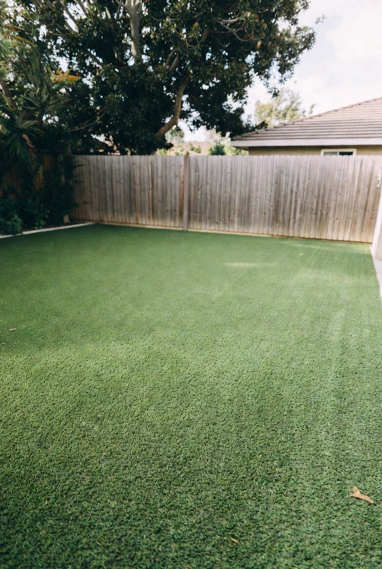 Clean Modern Backyard